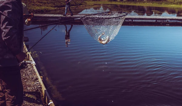 Fisherman Catch Rainbow Trout Lake — Stock Photo, Image