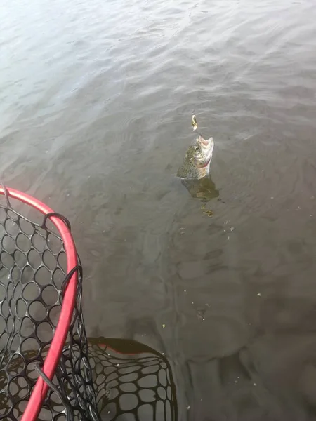 Pesca Esporte Recreação Fundo — Fotografia de Stock