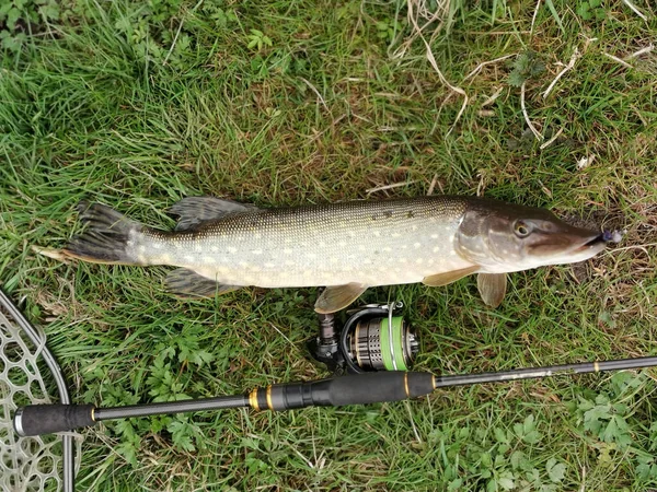 Pêche Sport Loisirs Fond — Photo