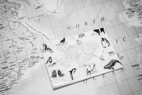 地图旅行背景上的福克兰岛 — 图库照片
