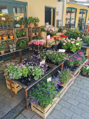 Kopenhag, Danimarka - 29 Temmuz 2019. Danimarka 'nın güzel deniz köyü.