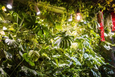 İç kısımda taze çiçekler var.