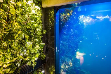 İç kısımda taze çiçekler var.