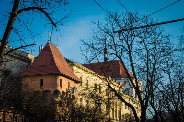 Leopoli Ucraina Gennaio 2019 Magnifica Architettura Invernale Lviv Strade — Foto Stock