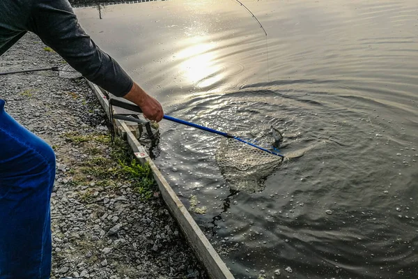 Öring Fiske Sjön Fritidsfiske — Stockfoto