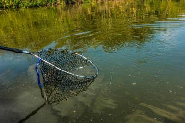 Doğal alabalık avlama geçmişi