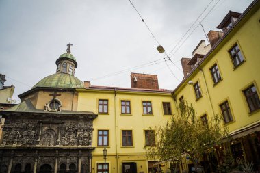 Muhteşem kış Lviv mimarisi ve sokakları