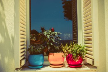 tencere ile güzel pencere