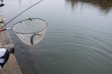 Gölde alabalık avı, spor balıkçılığı ve açık hava aktiviteleri