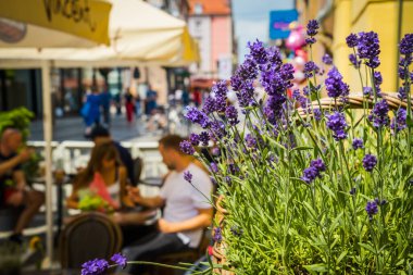 Wrocaw, Polonya - 17 Haziran 2019. Wroclaw şehrinin caddeleri ve evleri. Şehir manzarası