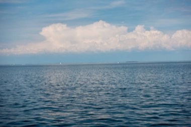 Balık yosunlarının güzel sualtı dünyası