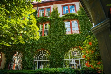 Eski Polonya şehrinin mimarisi. Pençe