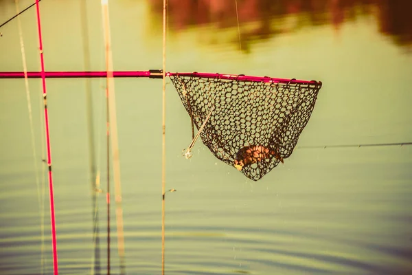 Fondo Natural Pesca Trucha — Foto de Stock