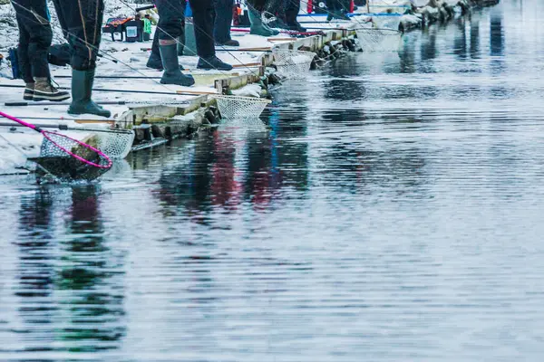 Pesca Trutas Lago Recreação Pesca — Fotografia de Stock