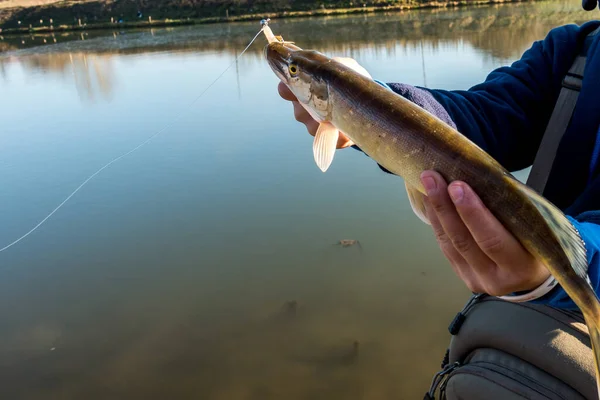 Pesca Pesca Lago — Fotografia de Stock