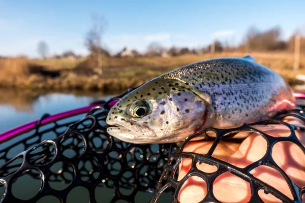 Fishing Fishing Lake — Stock Photo, Image