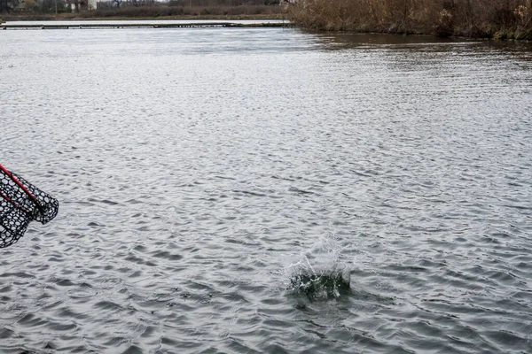 Fishing on the lake. Fishing background.