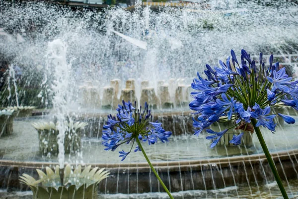 Copenhague Dinamarca Julio 2019 Hermoso Parque Jardín Copenhague Atracciones Turísticas —  Fotos de Stock