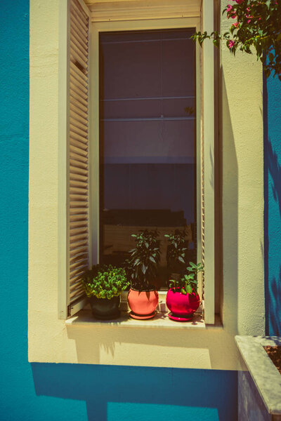 beautiful window with pots