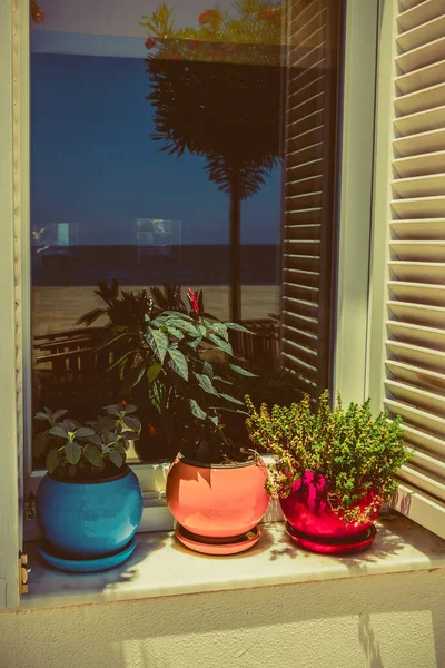 Schönes Fenster Mit Töpfen — Stockfoto