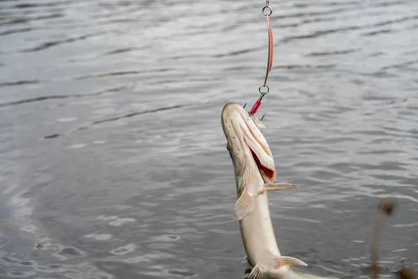 Fiska Sjön Fiskeribakgrund — Stockfoto