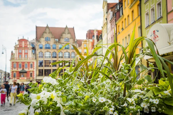 Wrocław Polska Czerwca 2019 Wrocław Domy Ulice Wrocławia Krajobraz Miejski — Zdjęcie stockowe