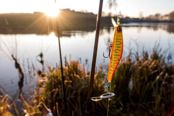 Pesca Lucio Lago Pesca Deportiva Actividades Aire Libre —  Fotos de Stock