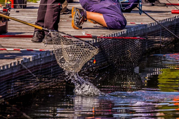 天然のマス釣りの背景 — ストック写真