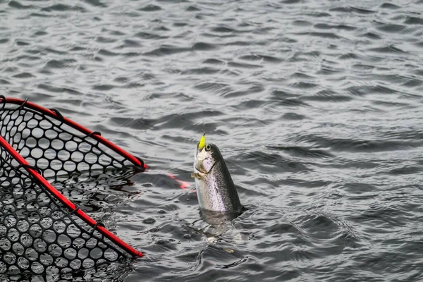 Pesca Lago Fondo Pesca — Foto de Stock