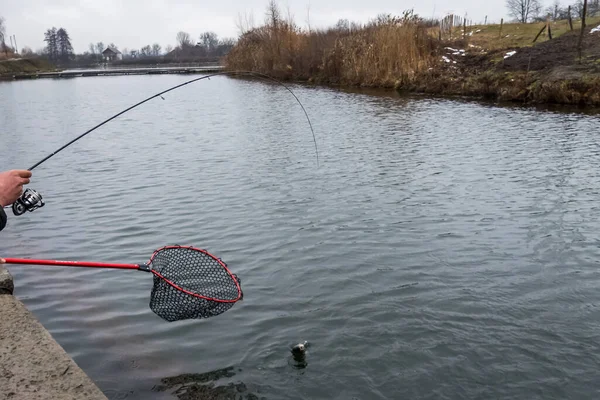 Pesca Pesca Sul Lago — Foto Stock