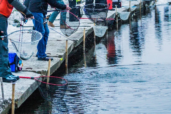 Forellenangeln Auf Dem See Freizeitfischerei — Stockfoto