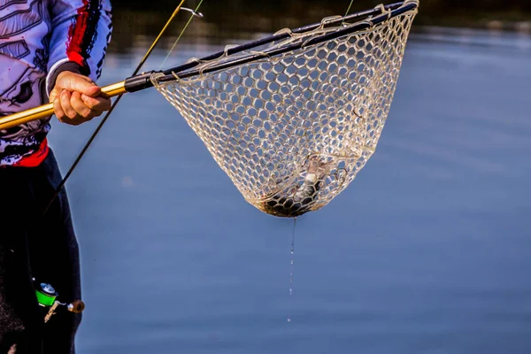 Fondo Natural Pesca Trucha — Foto de Stock