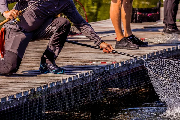 Natuurlijke Forel Visserijachtergrond — Stockfoto