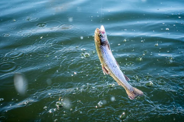 Αλιεία Καλάμι Στη Λίμνη Αθλητική Αλιεία Και Υπαίθριες Δραστηριότητες — Φωτογραφία Αρχείου
