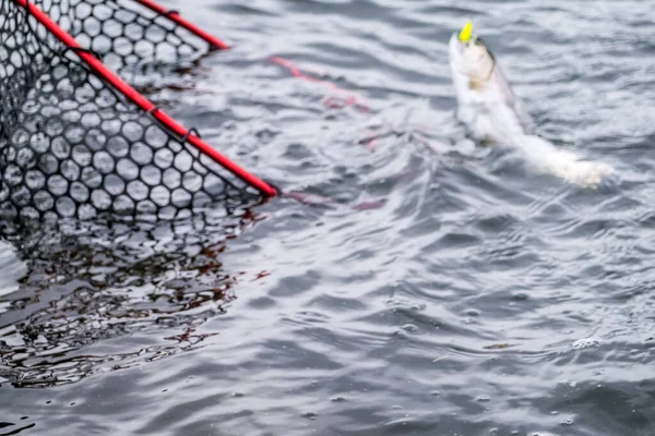 Angeln Auf Dem See Hintergrund Der Fischerei — Stockfoto