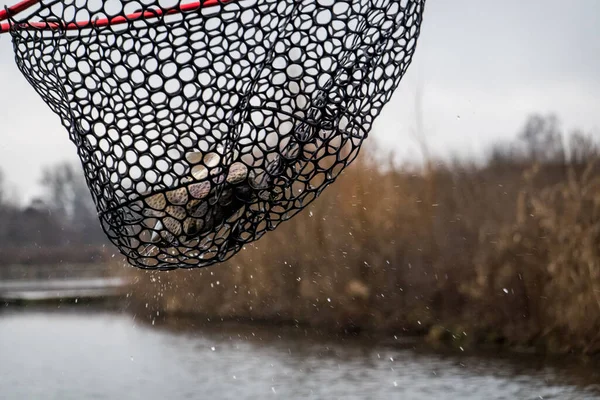 Pesca Pesca Lago — Foto de Stock