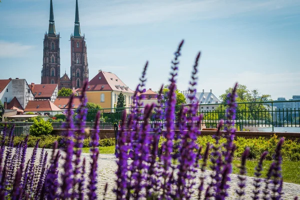 Wrocaw Polsko Června2019 Krásné Kostely Vratislavi — Stock fotografie