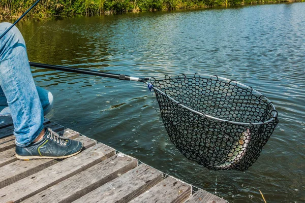 Fondo Natural Pesca Trucha — Foto de Stock