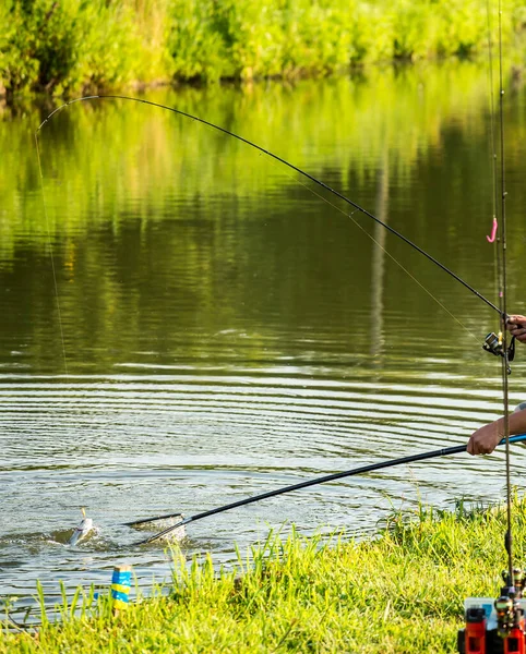 Torneio Pesca Recreação Natureza Fundo — Fotografia de Stock