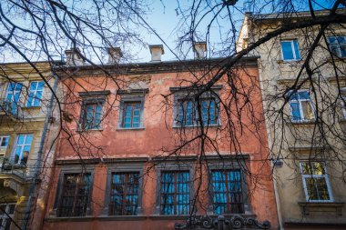 Muhteşem kış Lviv mimarisi ve sokakları