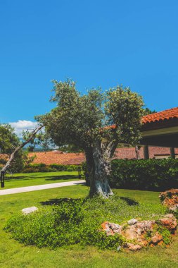 Güzel deniz resort. Yaz tatili