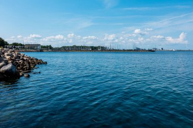 Balık yosunlarının güzel sualtı dünyası
