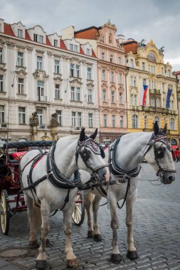 Prag, Çek Cumhuriyeti - 21 Eylül 2019. Güz Prag 'ın güzel sokakları ve mimarisi