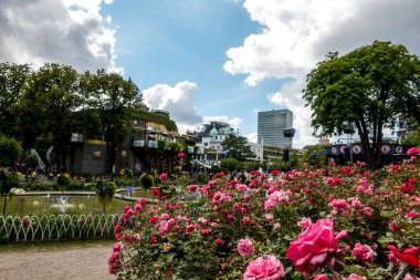Kopenhag, Danimarka - 21 Temmuz 2019. Kopenhag 'daki güzel park ve bahçe. Çekim