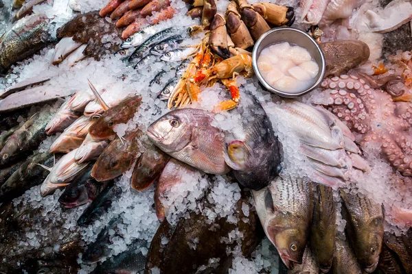 Verse Vis Zeevruchten Ijs Markt — Stockfoto
