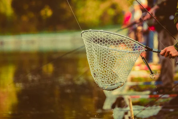 Fondo Natural Pesca Trucha — Foto de Stock