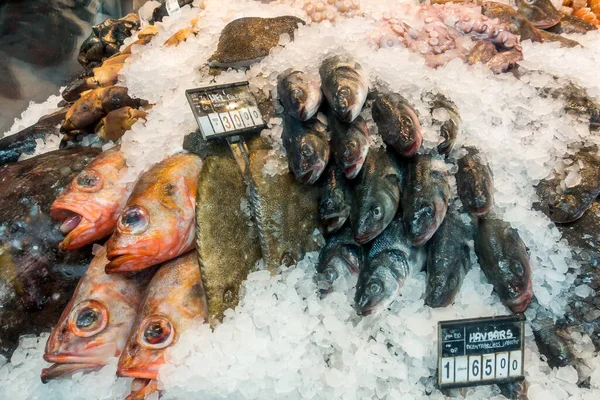 Peixes Mariscos Frescos Gelo Mercado — Fotografia de Stock