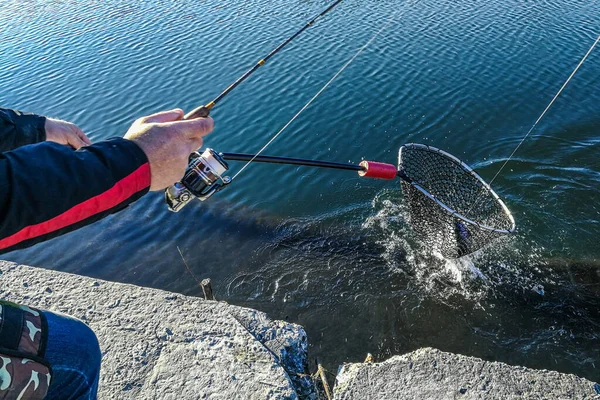 Pike fishing on the lake. Fishing recreation