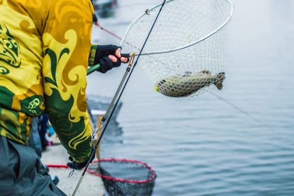 Pesca Trutas Lago Recreação Pesca — Fotografia de Stock