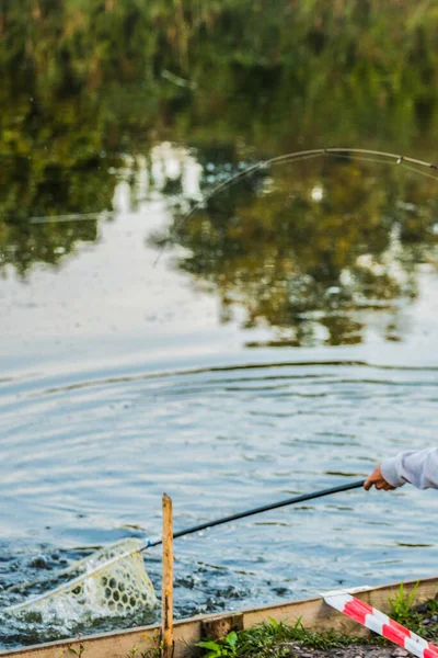 Fondo Natural Pesca Trucha — Foto de Stock